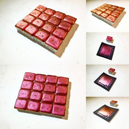 Aquarellfarben – Chamäleon Edition (12 Farben mit Box) C1